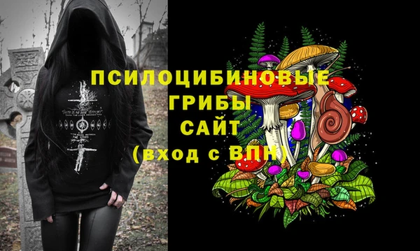 дурь Абинск