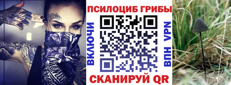 Псилоцибиновые грибы GOLDEN TEACHER  Катайск 